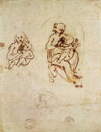 Study for the Virgin and Child, c.1478-1480 by Leonardo da Vinci